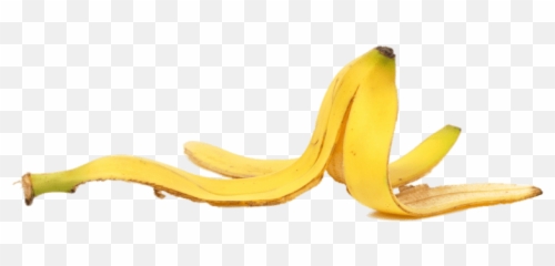 Download Free Png Banana Peel End Up
