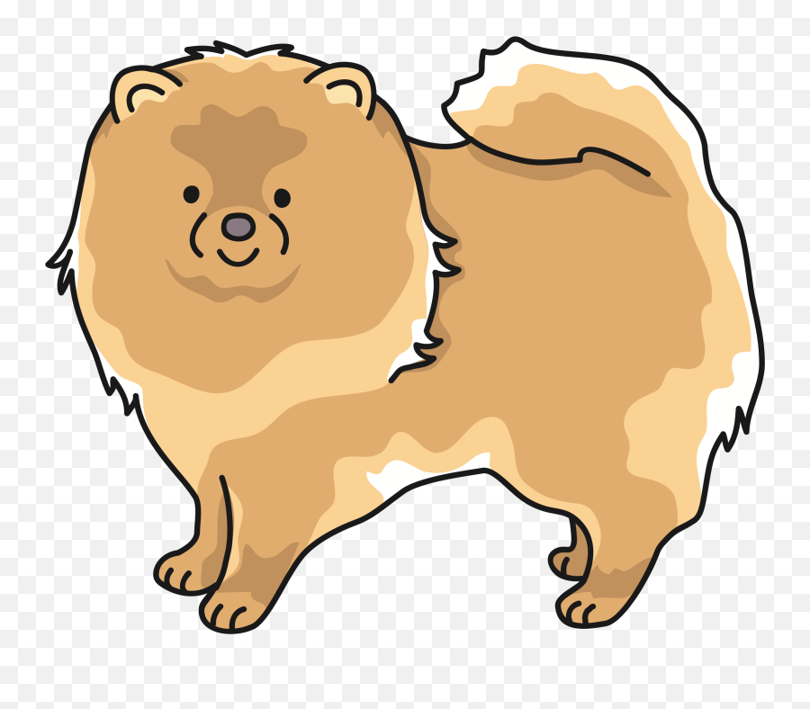 By Oksmith - Pomeranian Clipart Full Size Clipart Pomeranian Png,Rip Paper Png