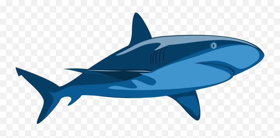Clipart Shark Word Transparent Free For - Shark Clip Art Vector Png,Shark Silhouette Png