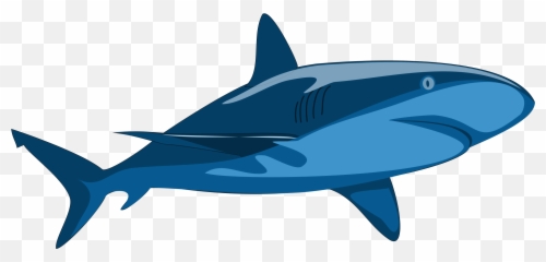 Clipart Shark Word Transparent Free For - Shark Art Vector png