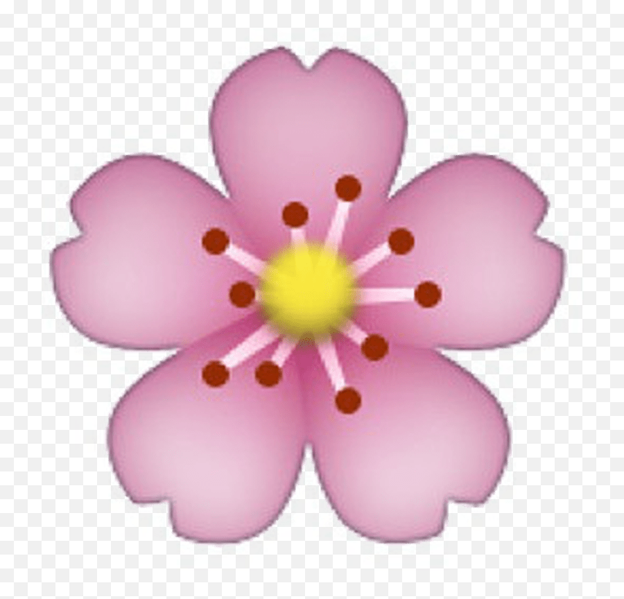 Download Hd Tumblr Emoji Transparent - Cherry Blossom Emoji Png,Pink Flower Transparent Background
