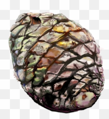 Oobites Blue Agave Piña - Pineapple Png,Agave Png