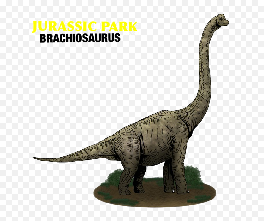 Brachiosaurus Png Photo - Muhammad Yunus Grameen Bank,Brachiosaurus Png