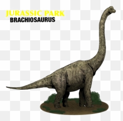 Brachiosaurus Png Photo - Muhammad Yunus Grameen Bank,Brachiosaurus Png