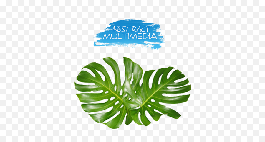 Download Share This Image - Monstera Leaves Png Image With Monstera Leaves,Monstera Leaf Png