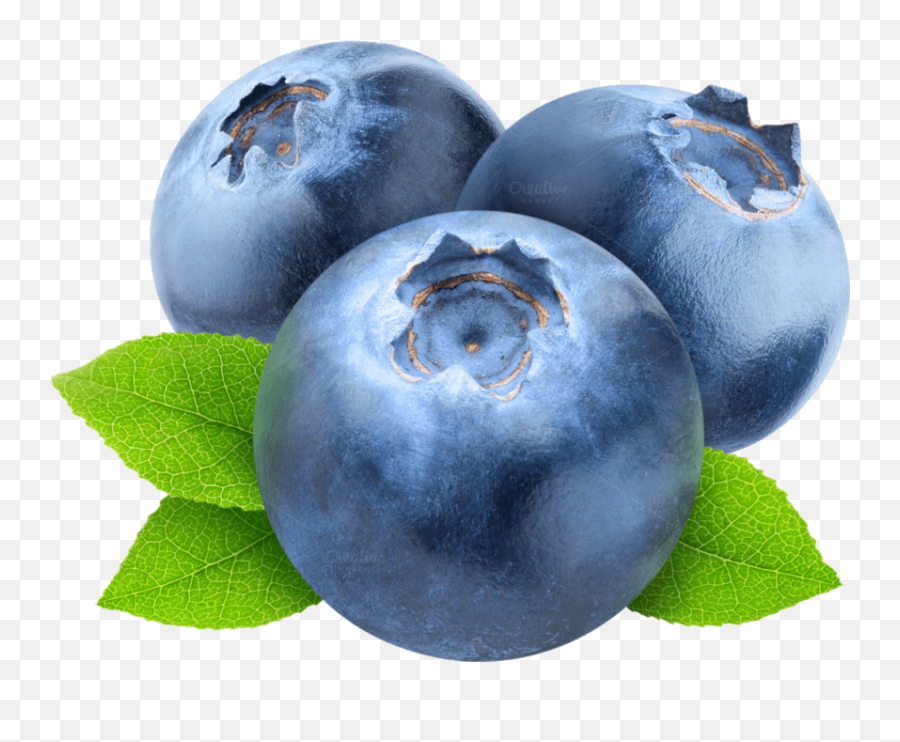 Blueberries Png Images Transparent - Transparent Background Blueberry Clipart,Blueberry Transparent Background