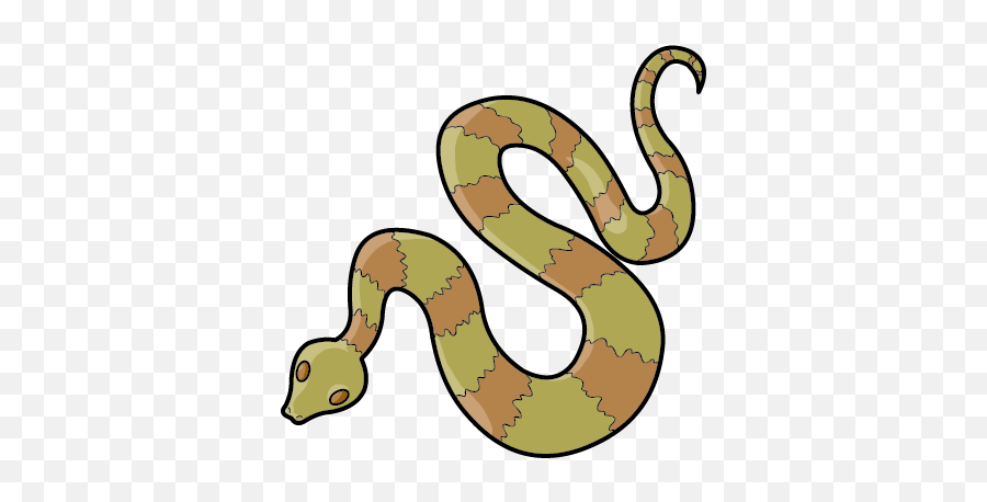 Apply First Aid Online - Snake Biting Clipart Png,Png Taipan