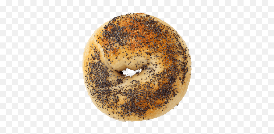 Spread The Bagel U2013 Authentic New York In Shanghai - Bagel Png,Bagel Transparent