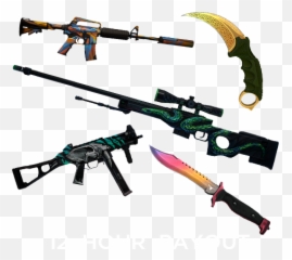 Howlycoin - Csgo Skins Png,Csgo Transparent