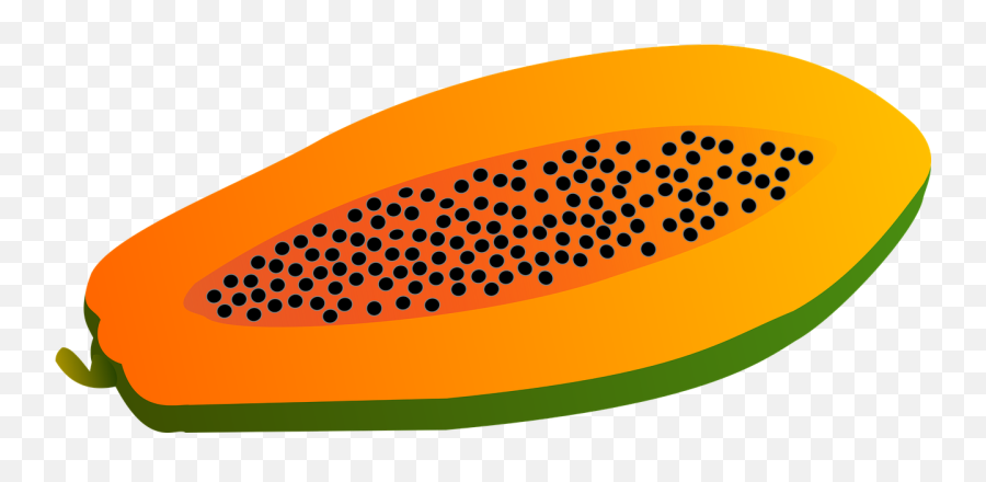 Papaya Fruit Vector - Single Fruit Clipart Png,Papaya Png