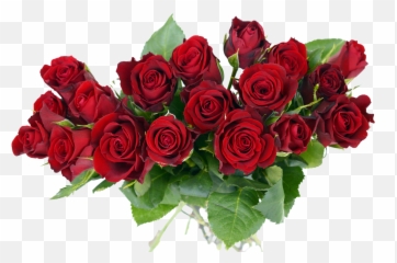 Roses - Transparent Background Roses Png,Red Roses Png