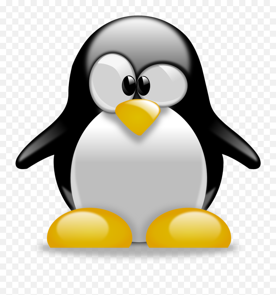 Tux Penguin Animal - Free Vector Graphic On Pixabay Cute Tux Penguin Png,Penguins Png
