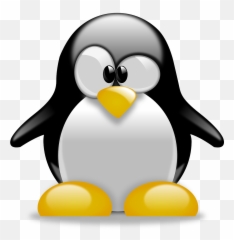 Tux Penguin Animal - Free Vector Graphic On Pixabay Cute Tux Penguin Png,Penguins Png