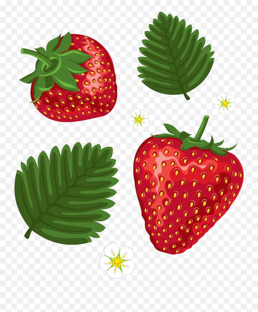 Strawberry In Png - Strawberry Leaves Outline Clipart,Strawberries Transparent Background