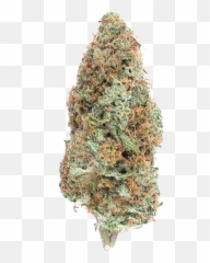 Electric Kool Aid - Rare Sativadominant Hybrid Mmjdirect Png,Kool Aid Png