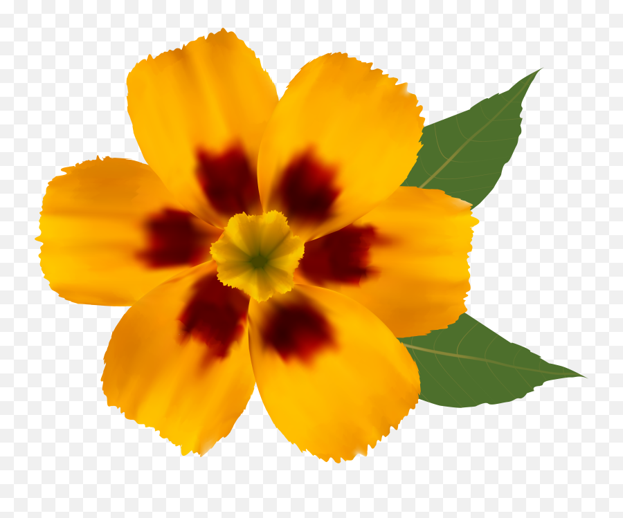 Library Of Flower Clip Art Royalty Free Yellow Png Files - Transparent Background Real Flower Clipart,Real Rose Png