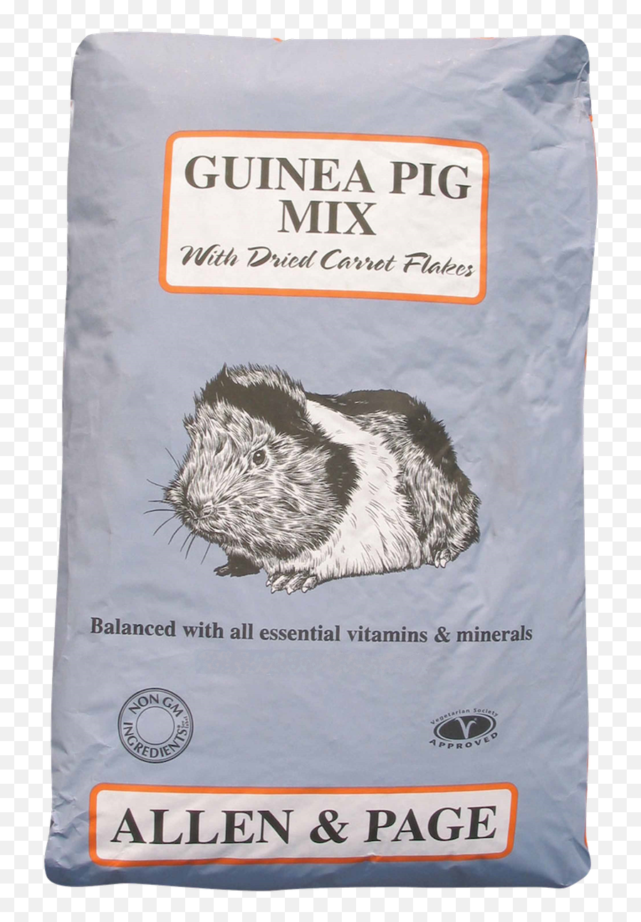 Allen U0026 Page Guinea Pig Mix - Allen Page Guinea Pig Mix Png,Guinea Pig Icon