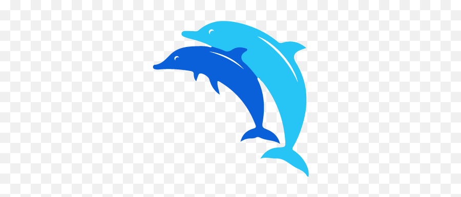 Aqua Divers A Dahab All - Inone Scuba Diving Center And Common Bottlenose Dolphin Png,Dolphin Browser Icon Png