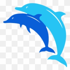 Aqua Divers Dahab All - inOne Scuba Diving Center and Common Bottlenose Dolphin png