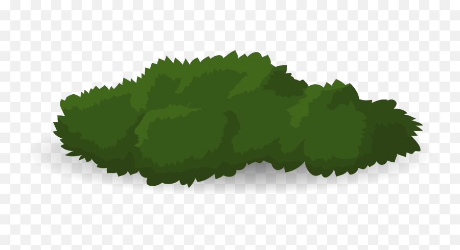 Download Hd Shrub Drawing - Bushes Vector Bush Drawing Png,Bushes Transparent