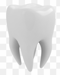 Human Tooth 3d Modeling Decay - Free png