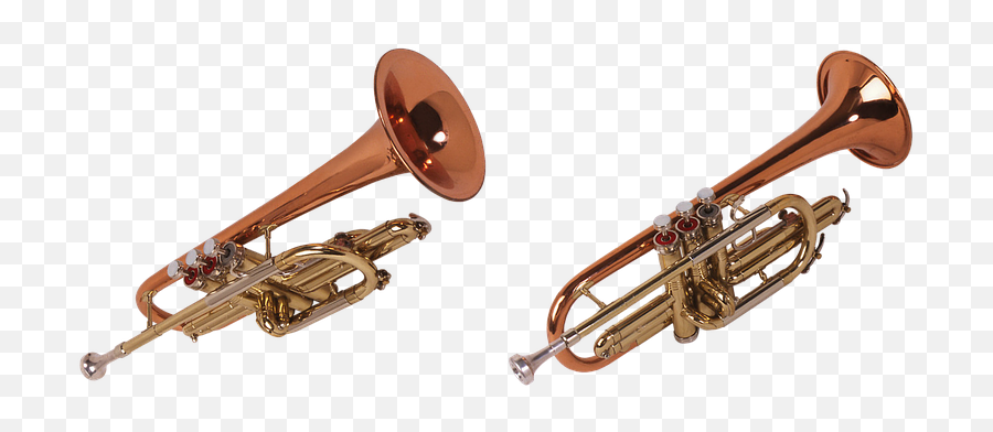 200 Free Wind Instrument U0026 Music Images - Pixabay Tuba Trombone Brass Instruments Png,Trumpet Transparent