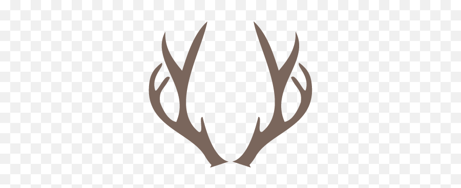 Deer Horns - Horns Deer Png,Antlers Png