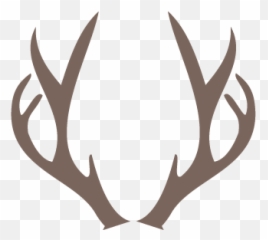 Deer Horns - Png