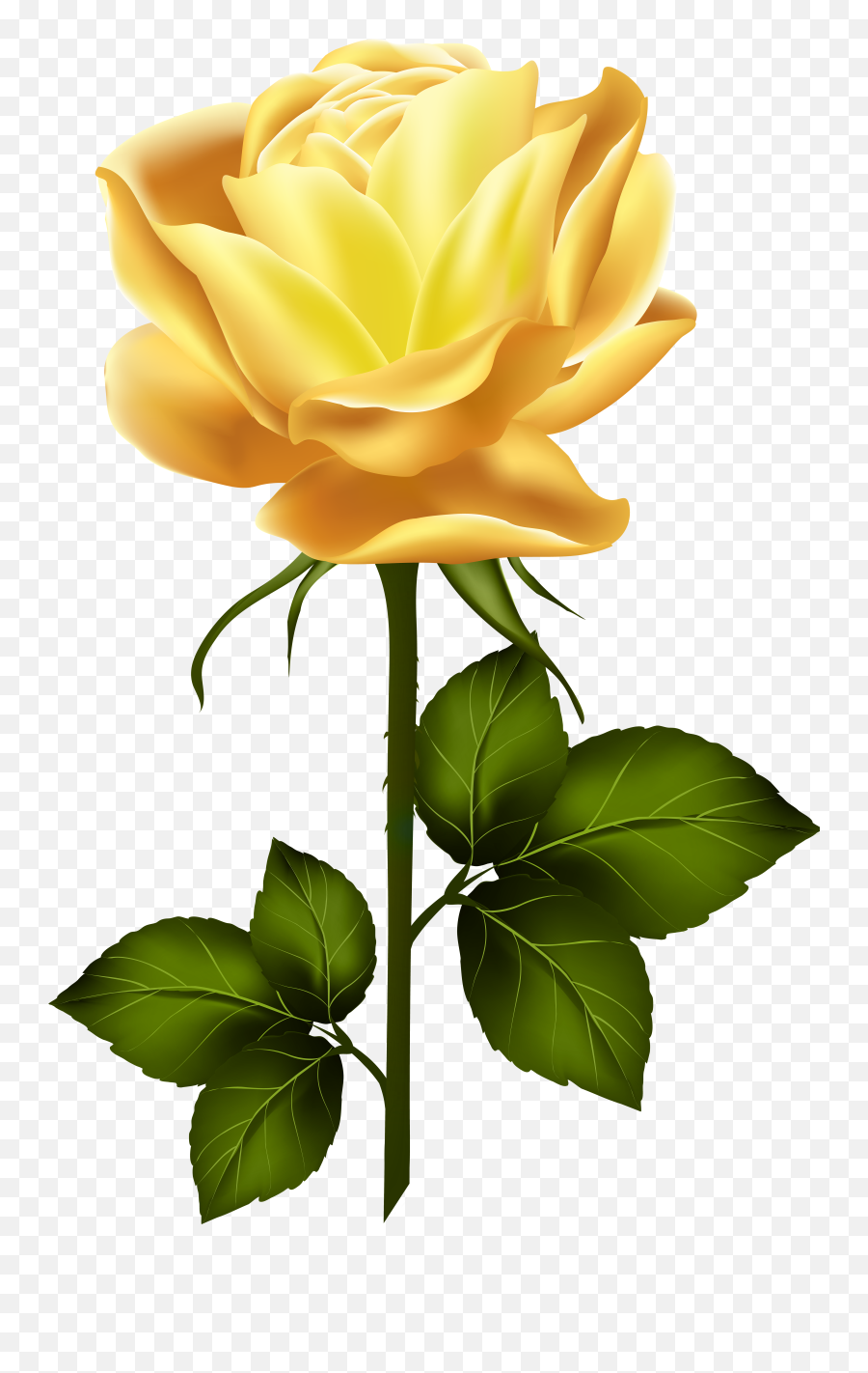Hd Yellow Rose With Stem Png Clip Art - Yellow Rose Png Images Hd,Yellow Rose Transparent
