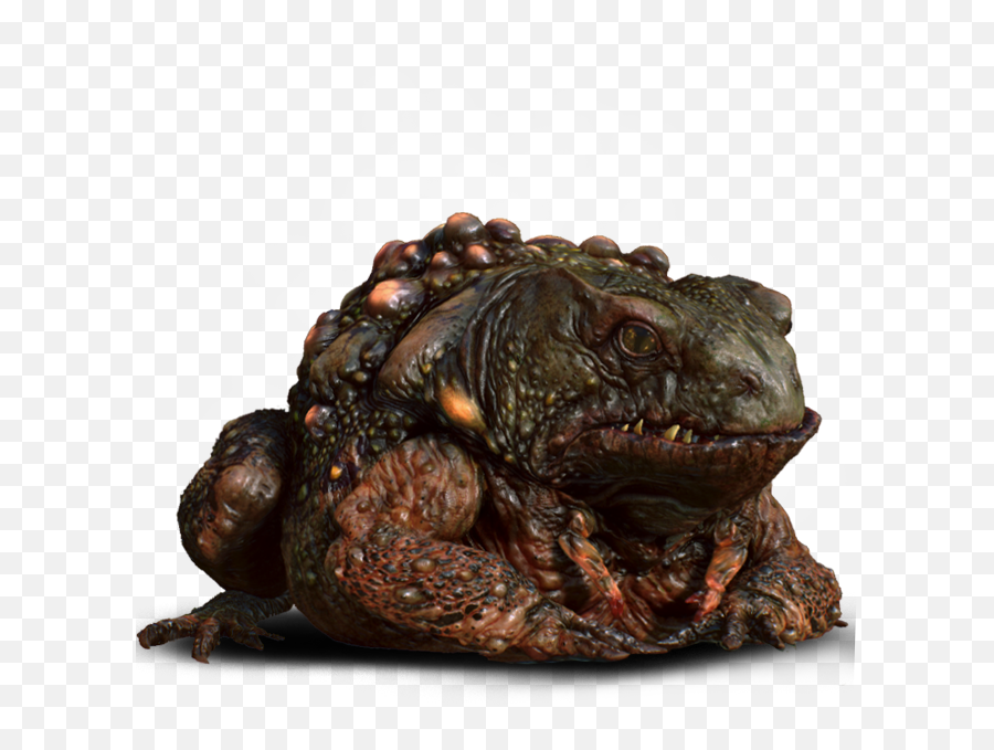 The Toad Prince - The Official Witcher Wiki Witcher Frog Prince Png,Toad Png