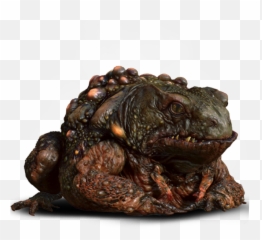 The Toad Prince - The Official Witcher Wiki Witcher Frog Prince Png,Toad Png