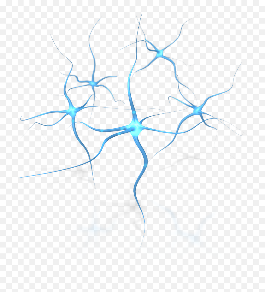Neuron Flower Human Free Download Png - Brain Neurons With Transparent Background,Neuron Png