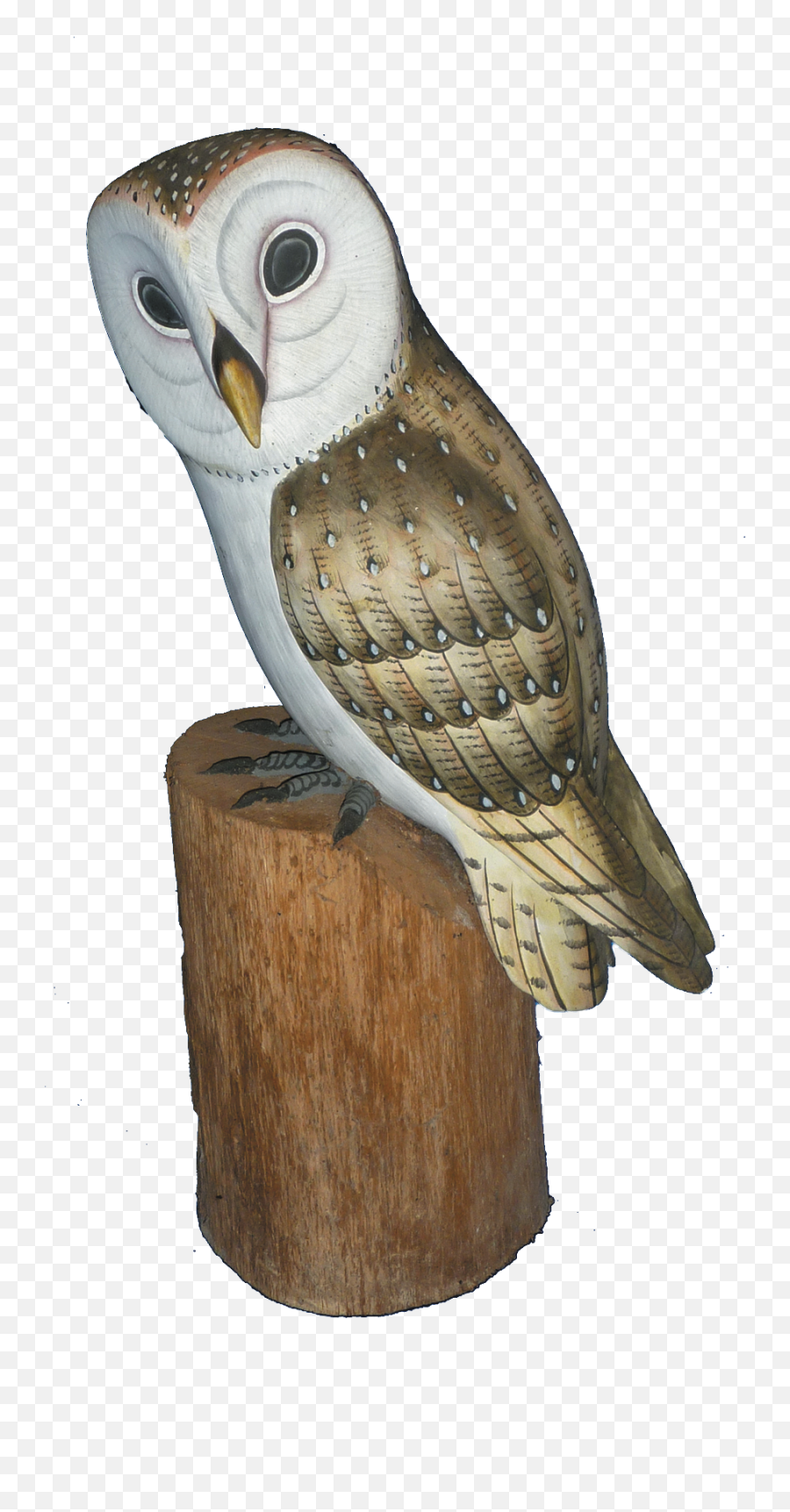 Barn Owl Png Image - Barn Owl,Barn Owl Png