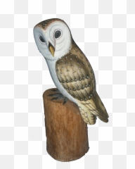 Barn Owl Png Image - Barn Owl,Barn Owl Png