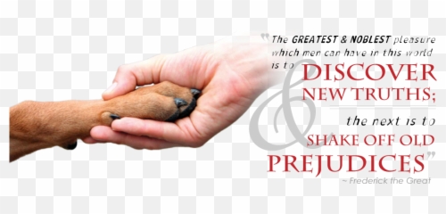 Pit Bull Friendly Places - Blue Cross In India Png,Pitbull Png