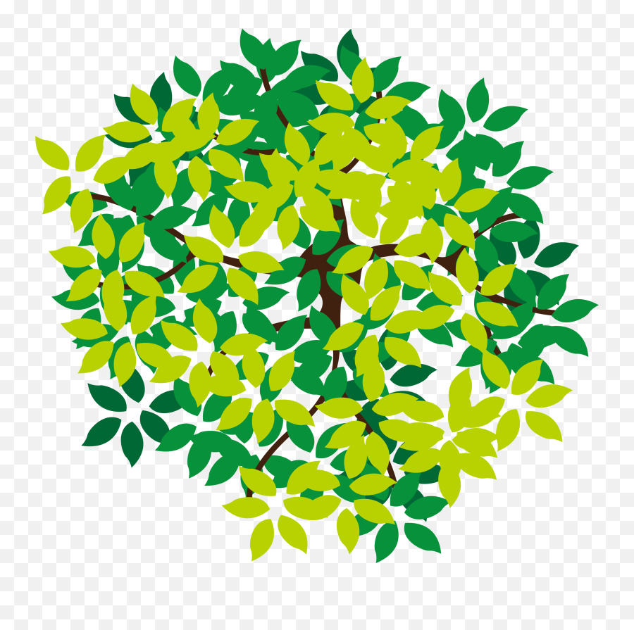 Download Lush Top Tree Icon Png - Top View Tree Icon,Tree Top Png