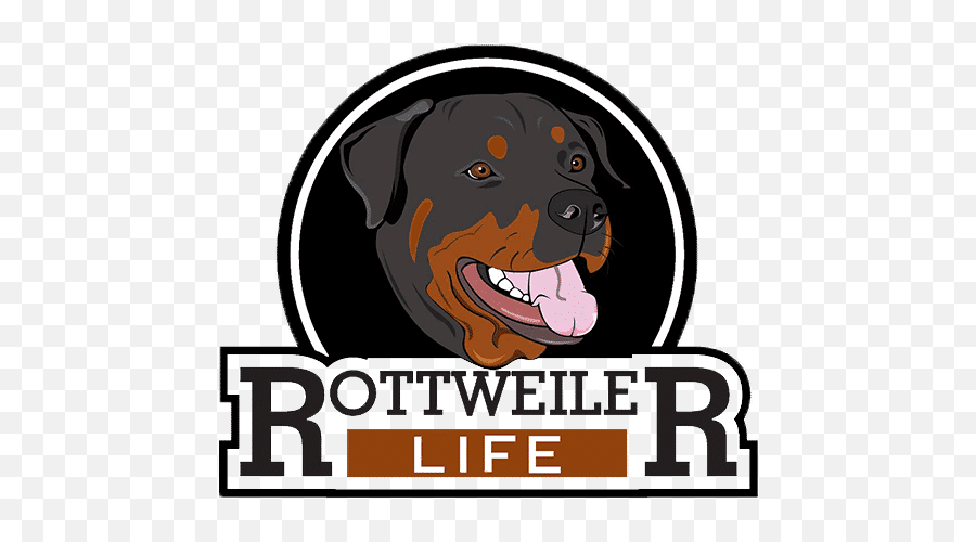 Rottweiler Life Complete Guide To Dog Breed - Rottweiler Logo Png,Rottweiler Png