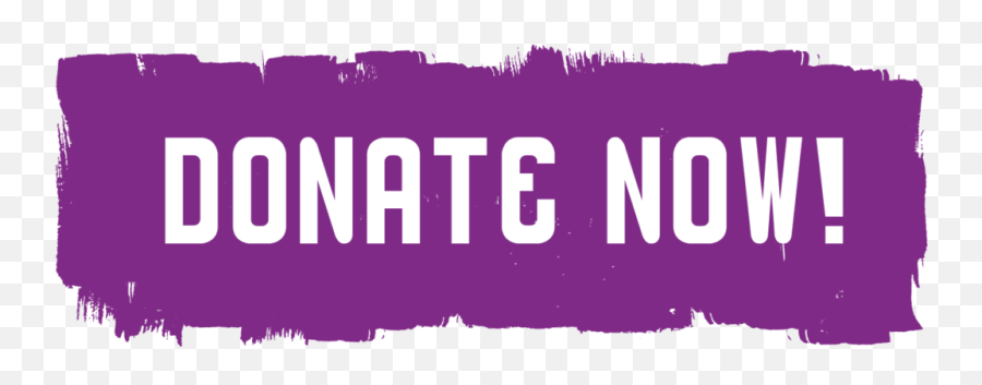 Download Donate Now - Donation Twitch Png,Donate Button Png