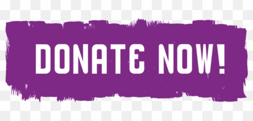 Download Donate Now - Donation Twitch png