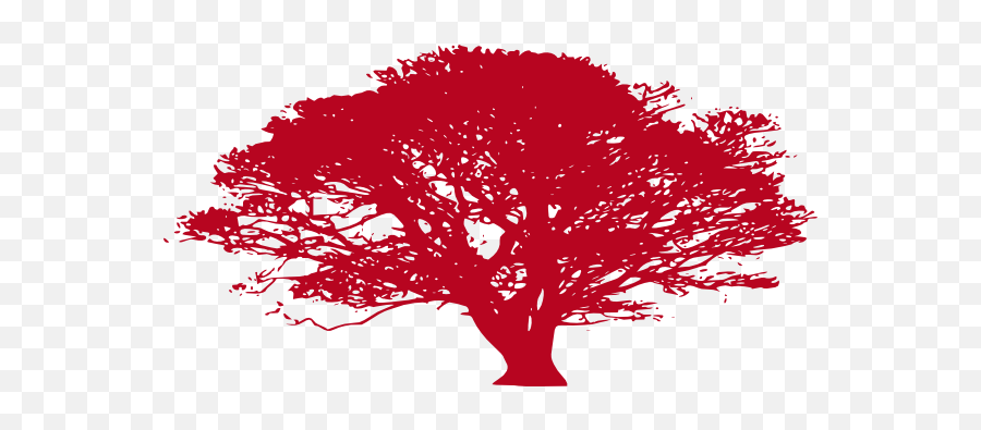 African Tree Clip Art - Oak Tree Silhouette Png,African Tree Png