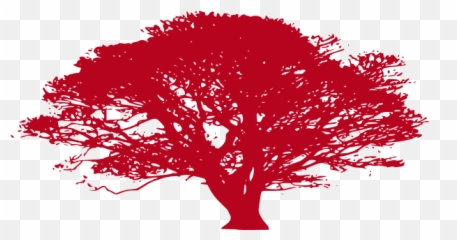 African Tree Clip Art - Oak Silhouette Png