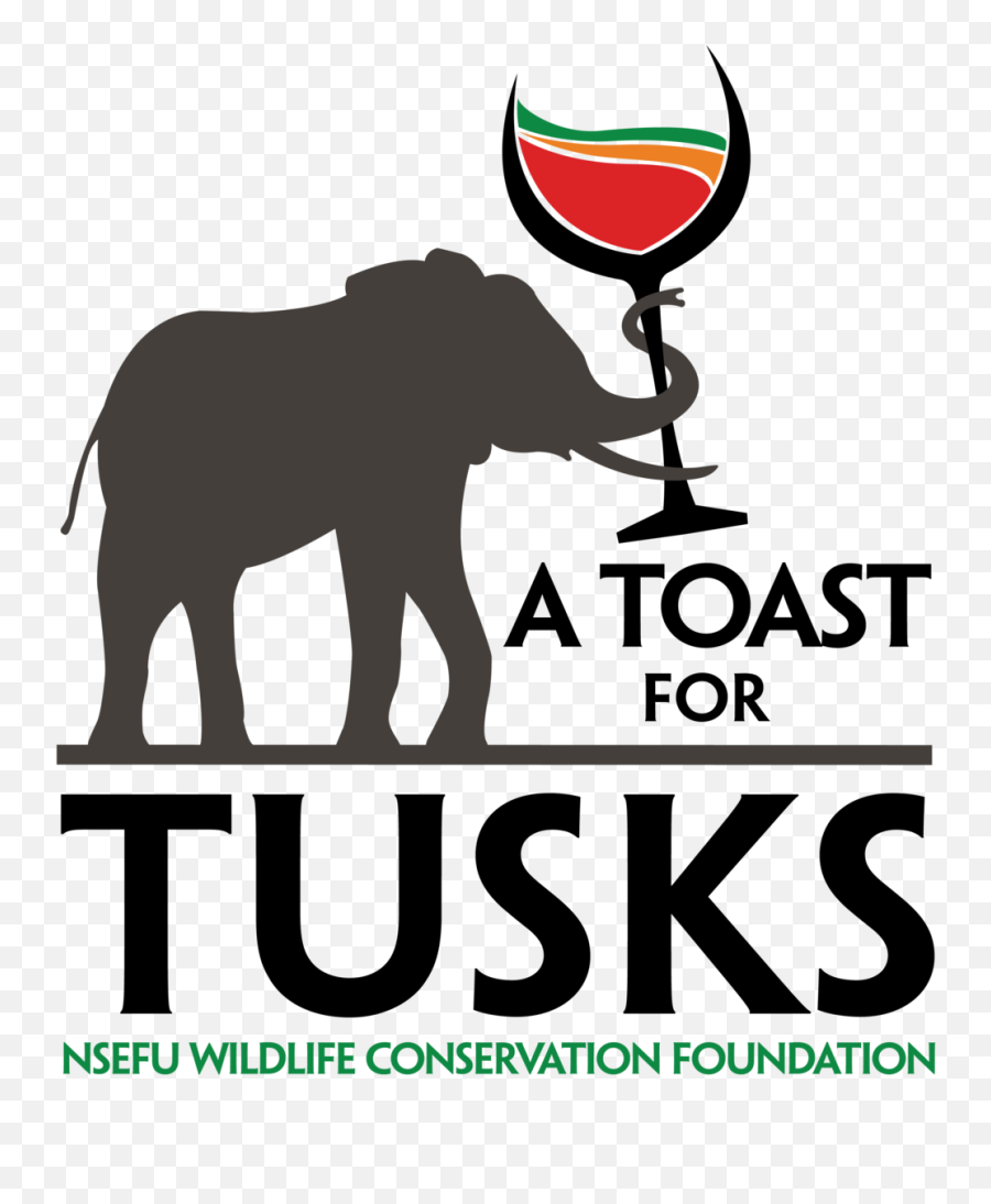 Join Nsefuorg And Witch Creek For A Toast Tusks U2014 Nsefu - Indian Elephant Png,Toast Png