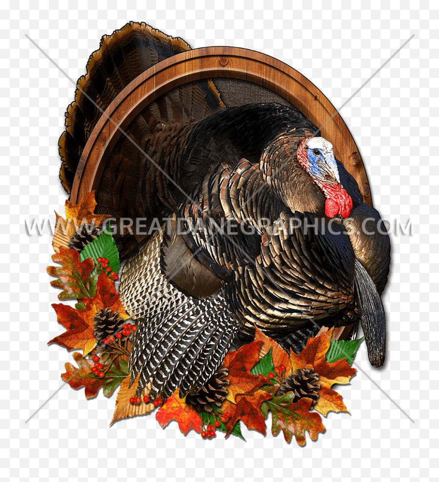 Download Mister Thankful Thanksgiving Turkey Baseball Sleeve - Turkey Png,Thanksgiving Border Png