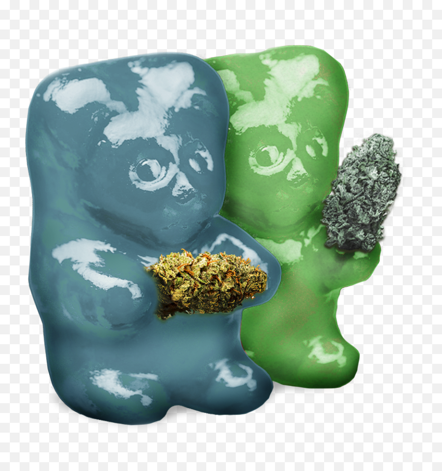 Thc Gummy Bears - Thcgummiescom Original Thc Gummies Boulder Png,Gummy Bears Png