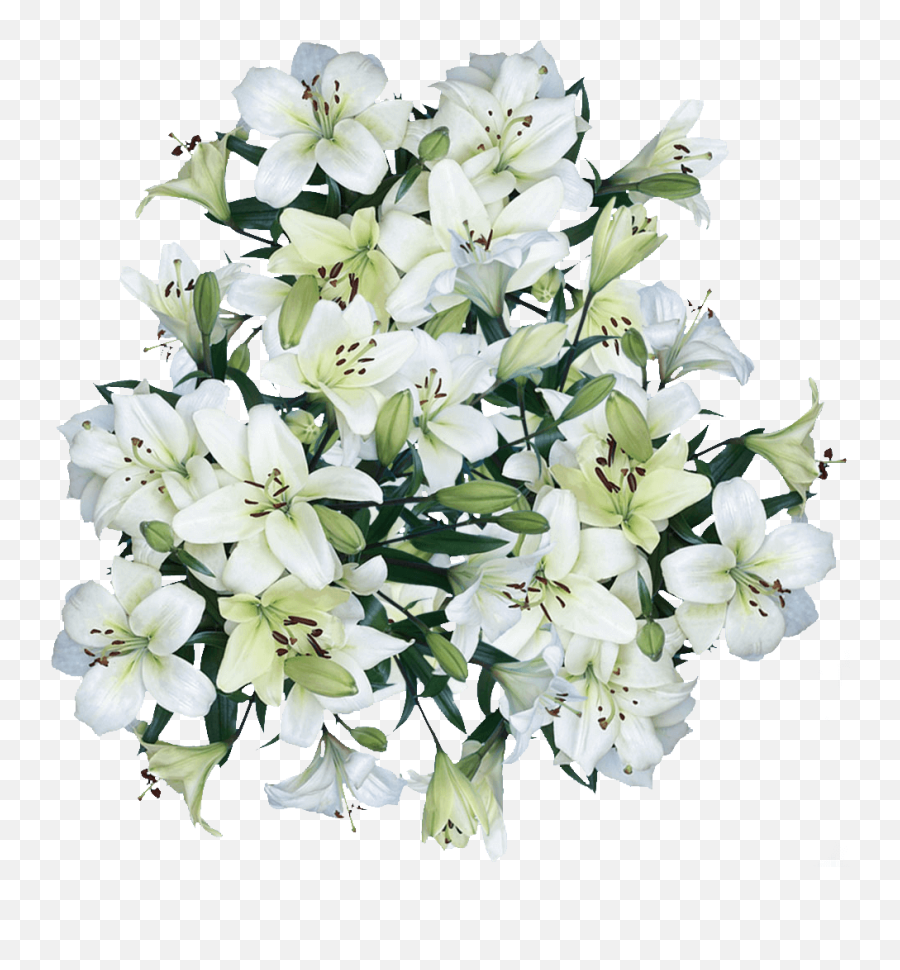 Asiatic Lilies White Flowers Free Shipping - Bouquet Png,Lillies Png