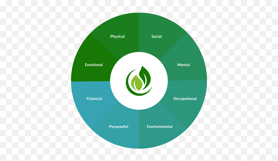 Holistic - Piechart Prananaz Corporate Wellness Solutions Circle Png,Pie Chart Png