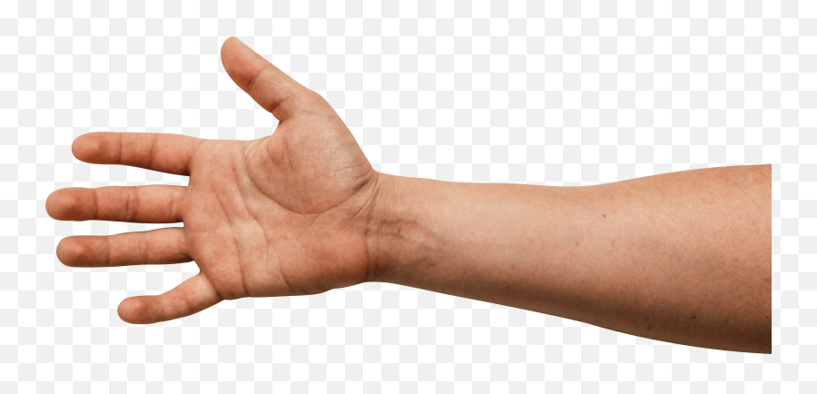 Arm - Hand Arm Png,Arm Png