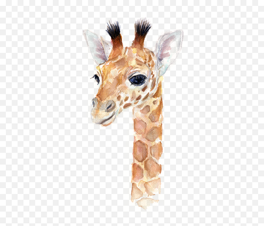 Giraffe Watercolor Kids T - Baby Animal Prints Free Download Png,Giraffe Transparent