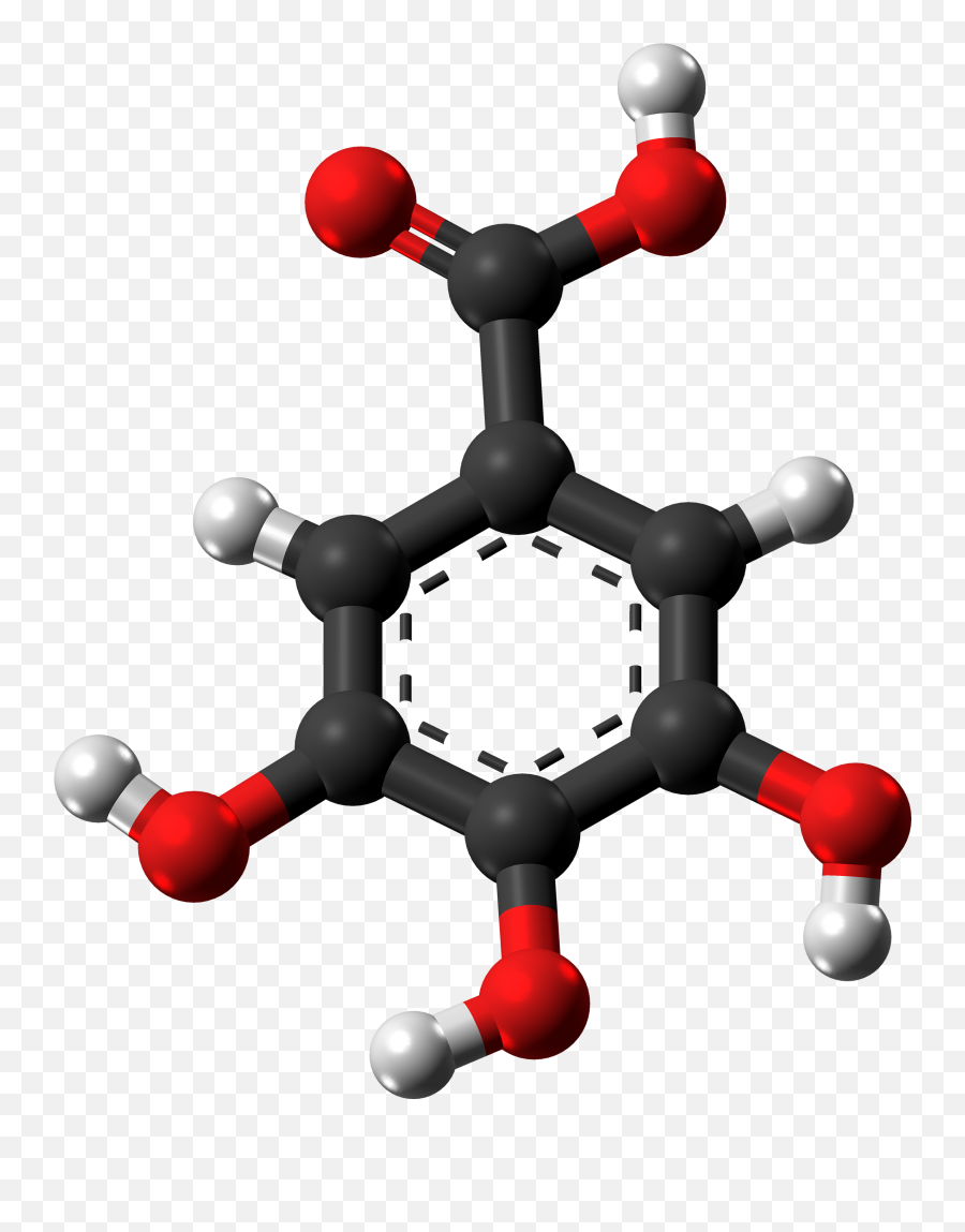 Filegallic Acid Molecule Ball From Xtalpng - Wikimedia Commons Gallic Acid Ball And Stick,Lsd Icon