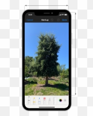 Apple Pencil And Scribble - User Interaction iOS Human Smartphone png